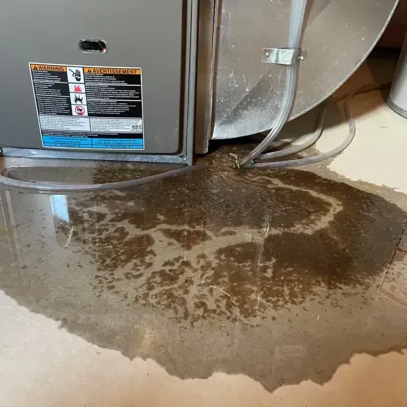 Appliance Leak Cleanup in Huguenot, NY